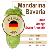 Mandarina Bavaria (GR) Hops
